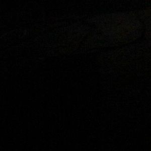 Meet your Posher, Fermin